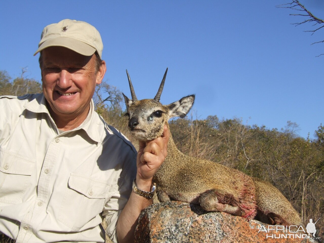 Klipspringer Hunt