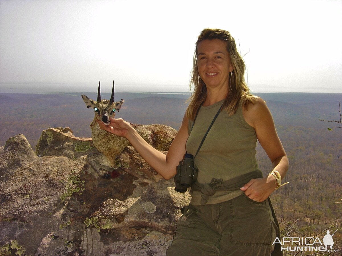 Klipspringer Hunt