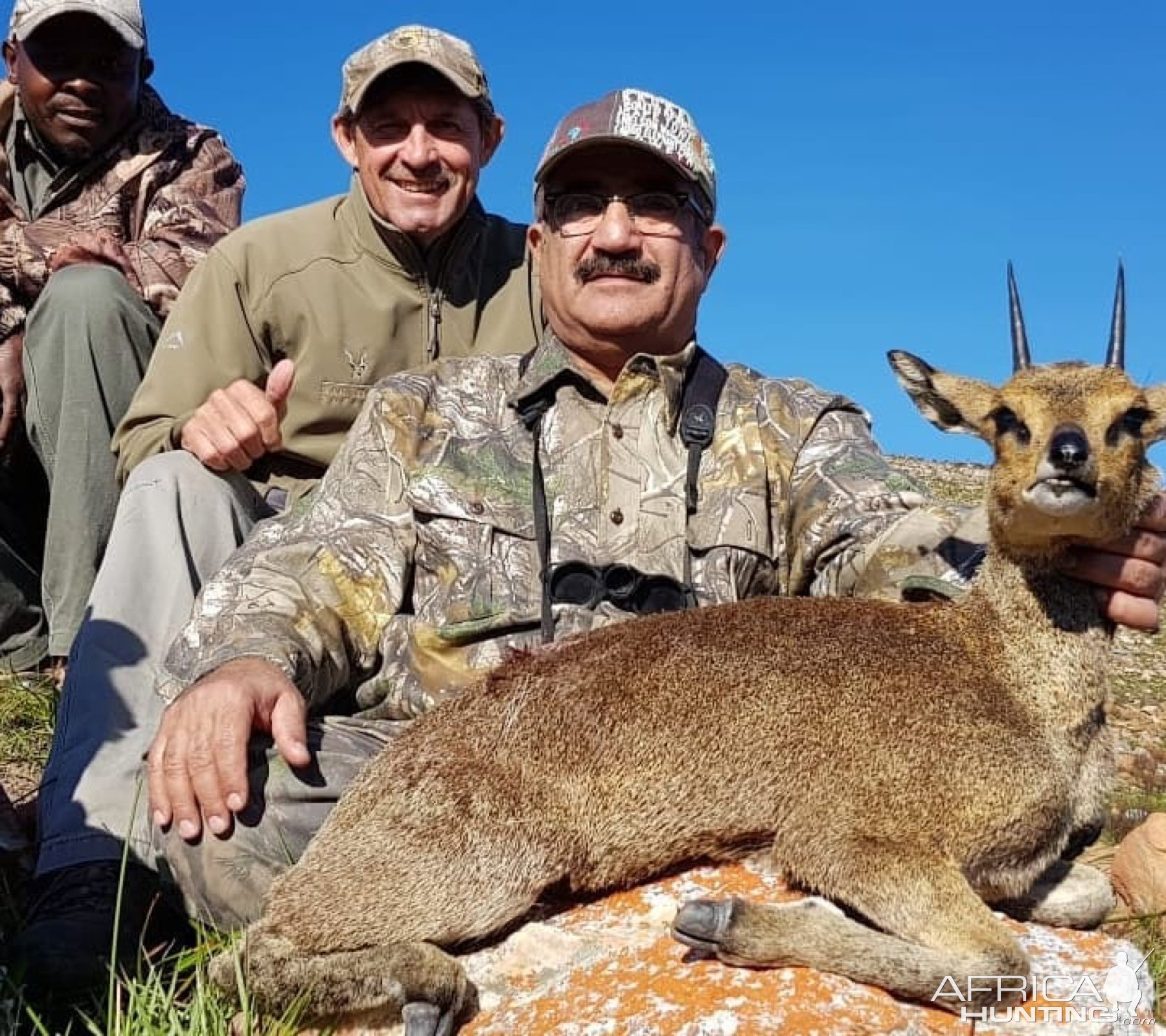 Klipspringer Hunting Eastern Cape South Africa