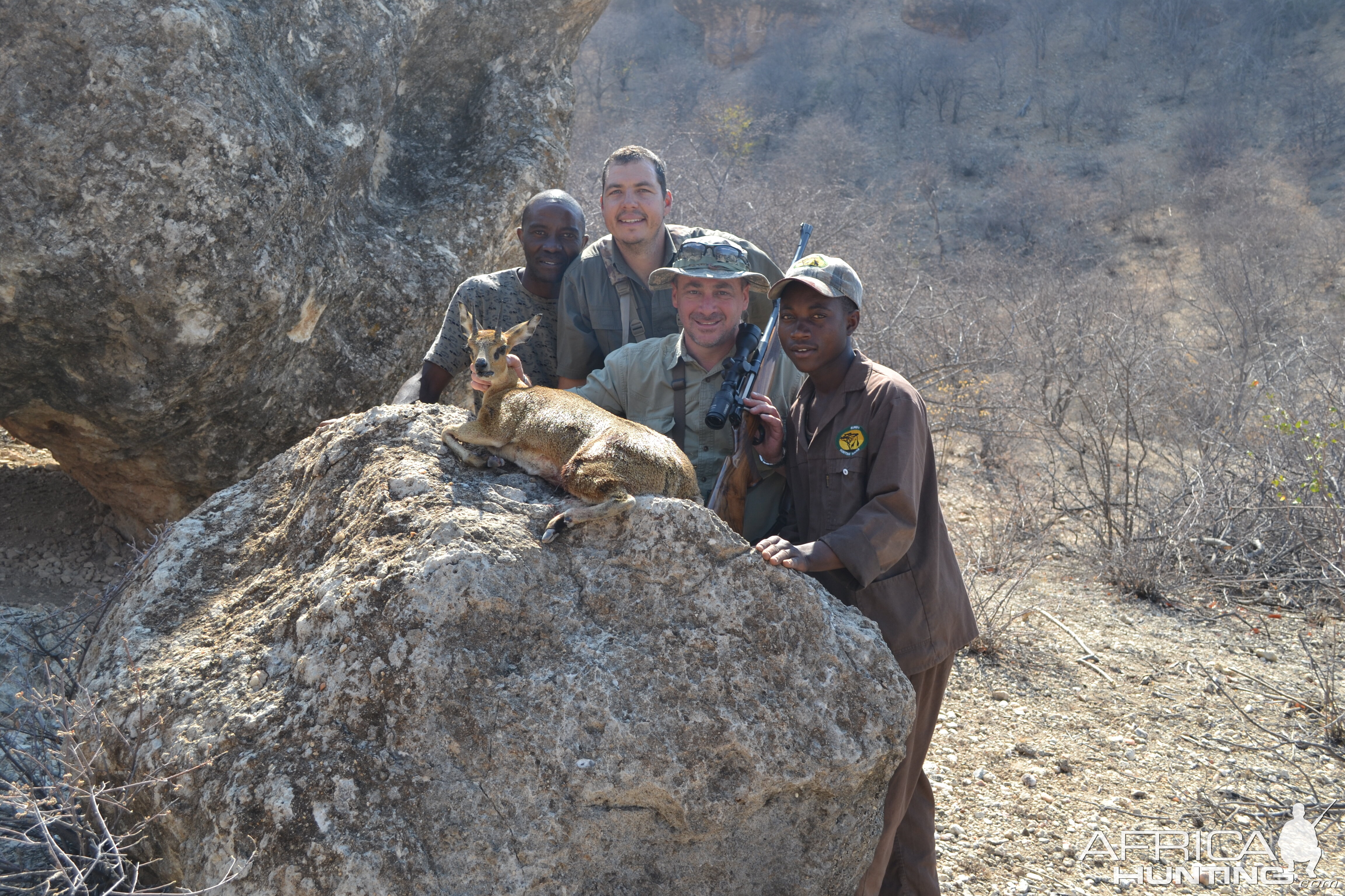 Klipspringer Hunting Namibia