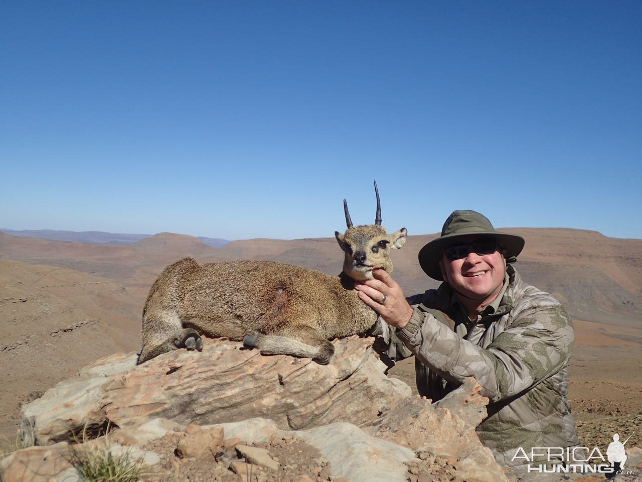 Klipspringer Hunting South Africa