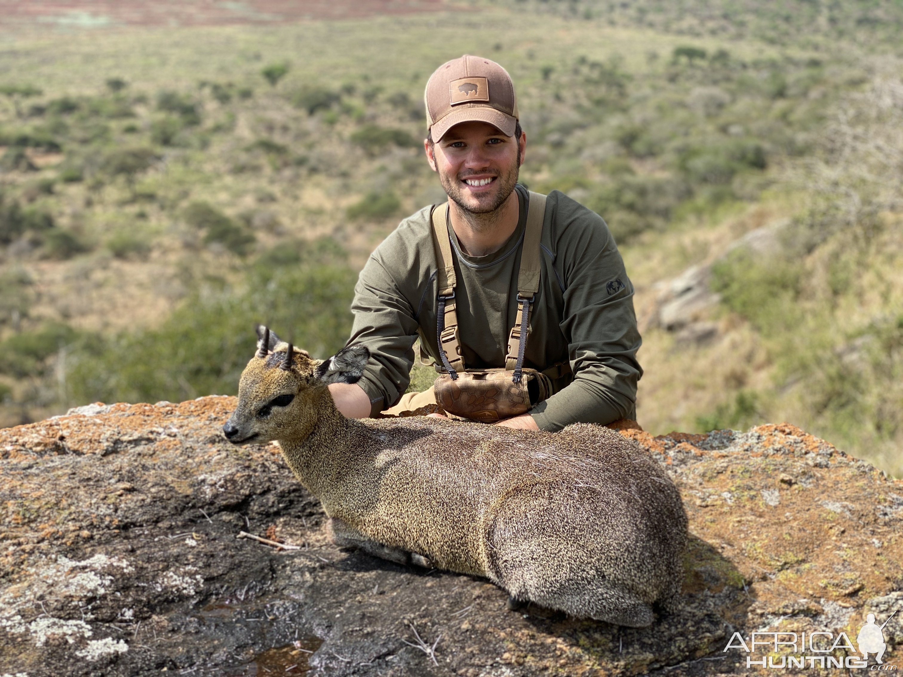 Klipspringer Hunting Tanzania