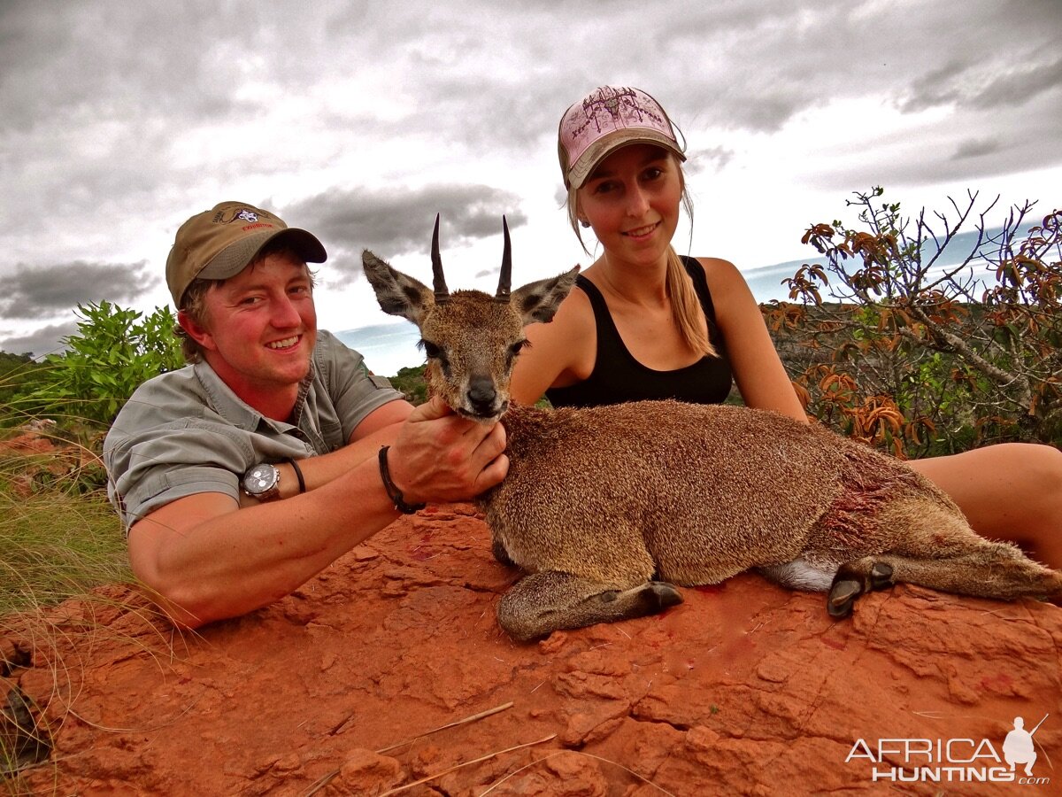 Klipspringer Hunting