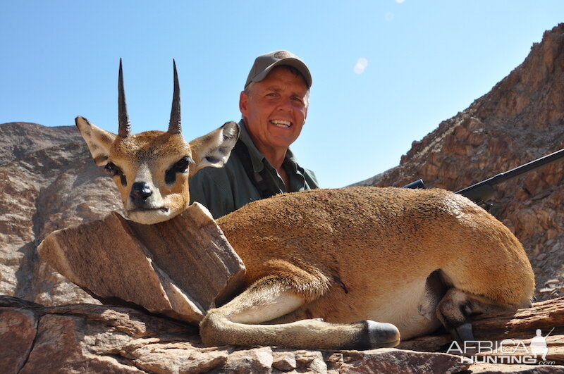 Klipspringer Namibia