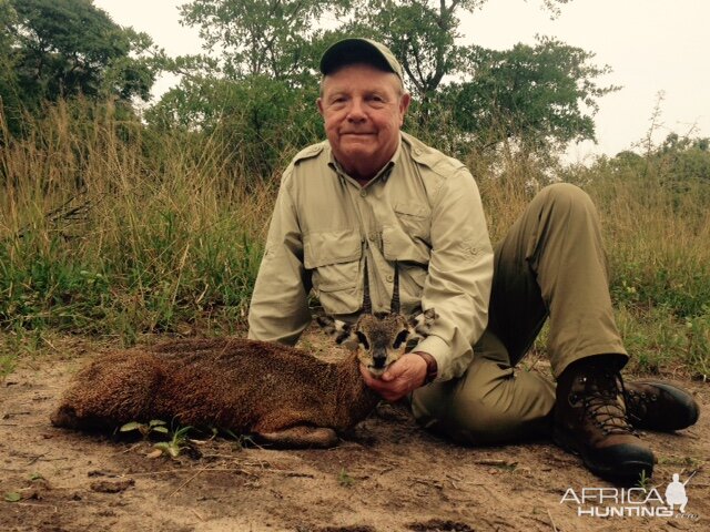 Klipspringer Zimbabwe Hunt