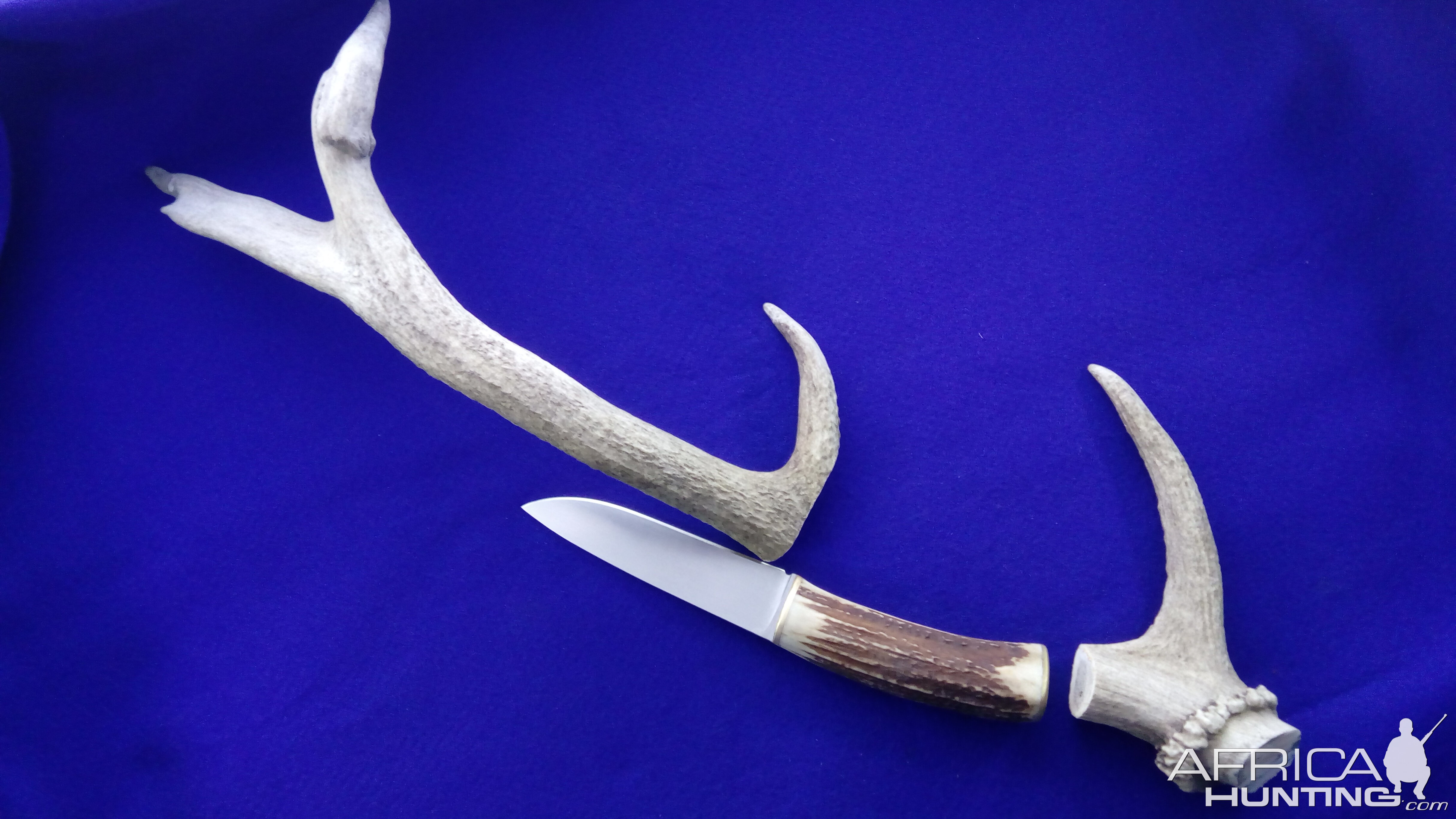 https://www.africahunting.com/media/knife-with-deer-antler-handle.94774/full