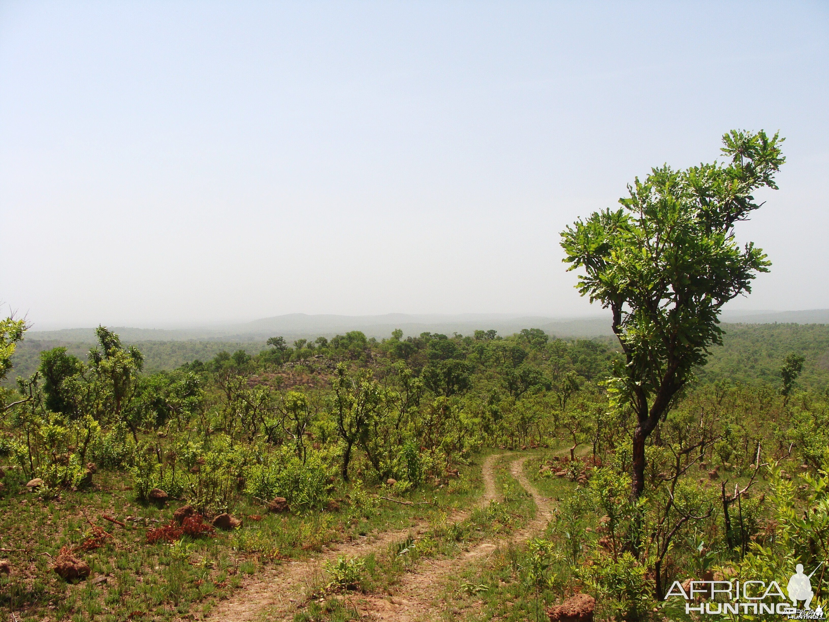 Kocho area in CAR with Central African Wildlife Adventures