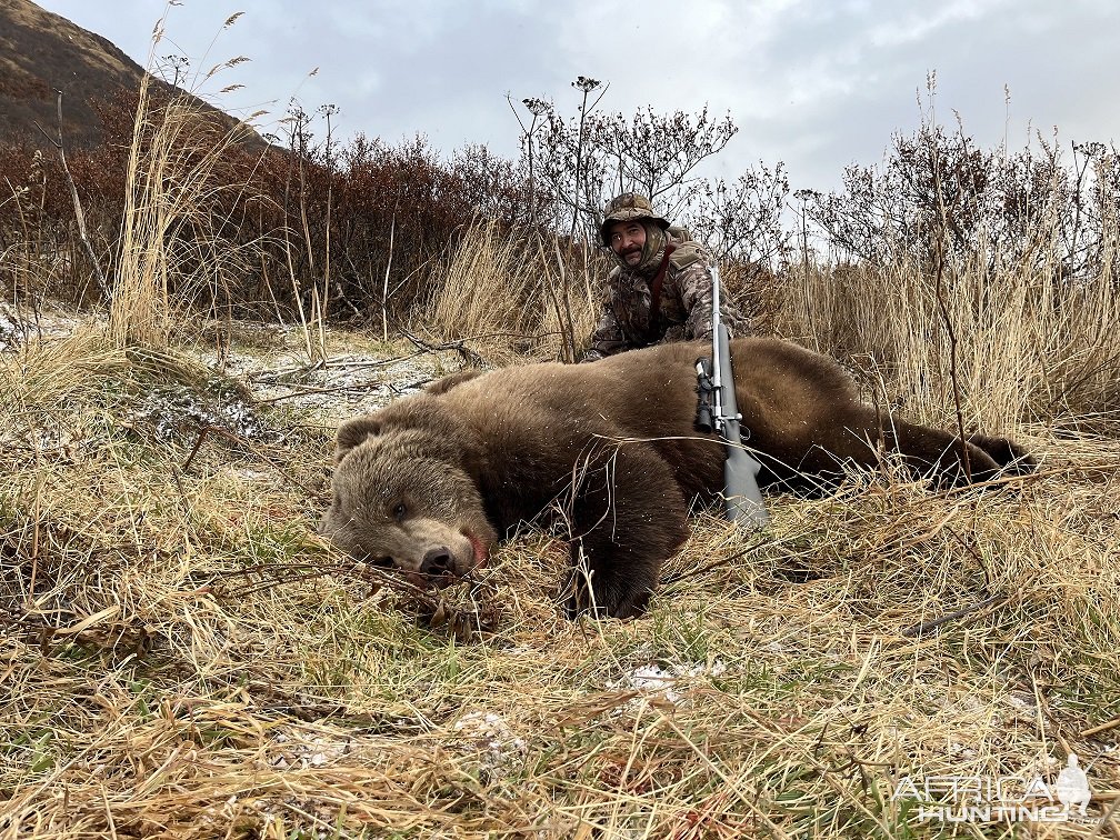 Kodiak Brown Bear Hunt Alaska