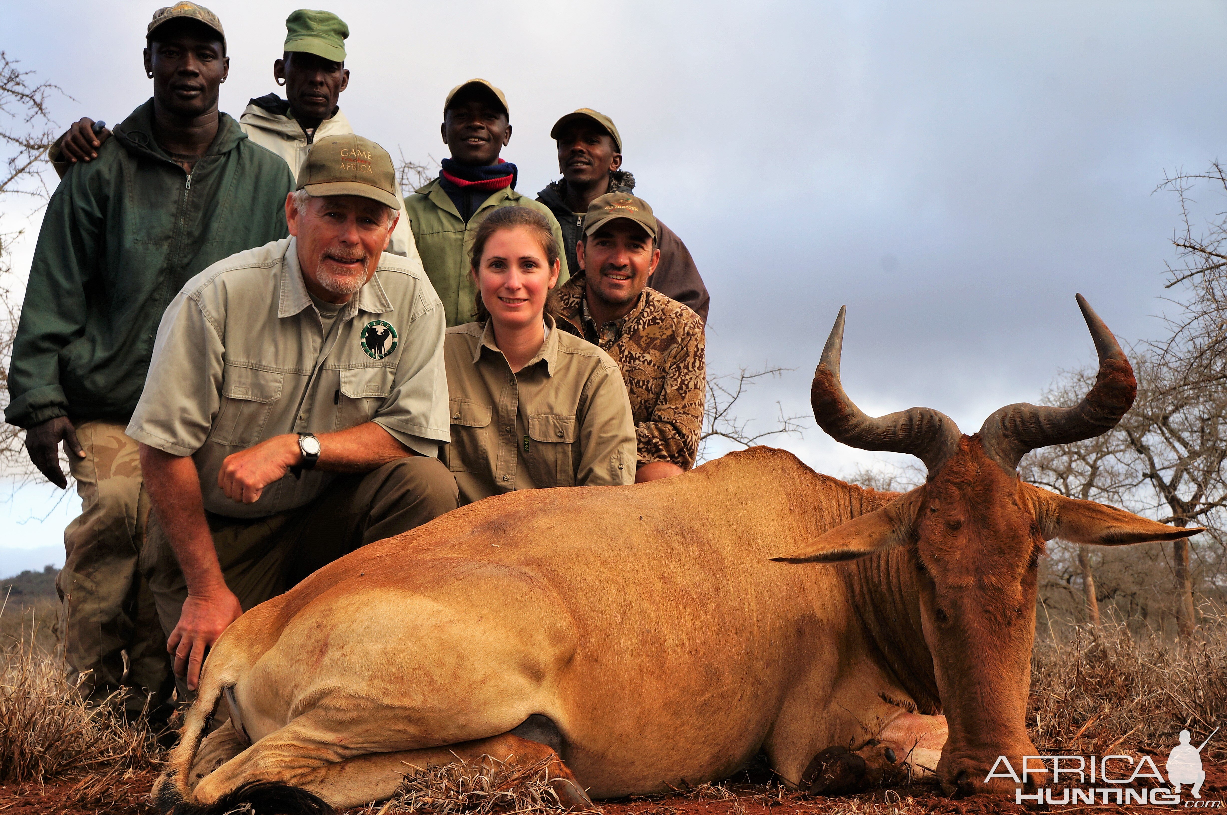 Kongoni Cokes Hartebeest Hunt Tanzania