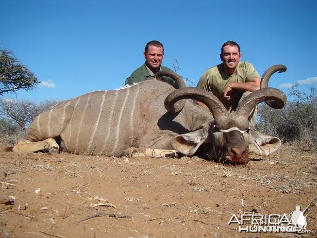Kudu 59 3/4 inches