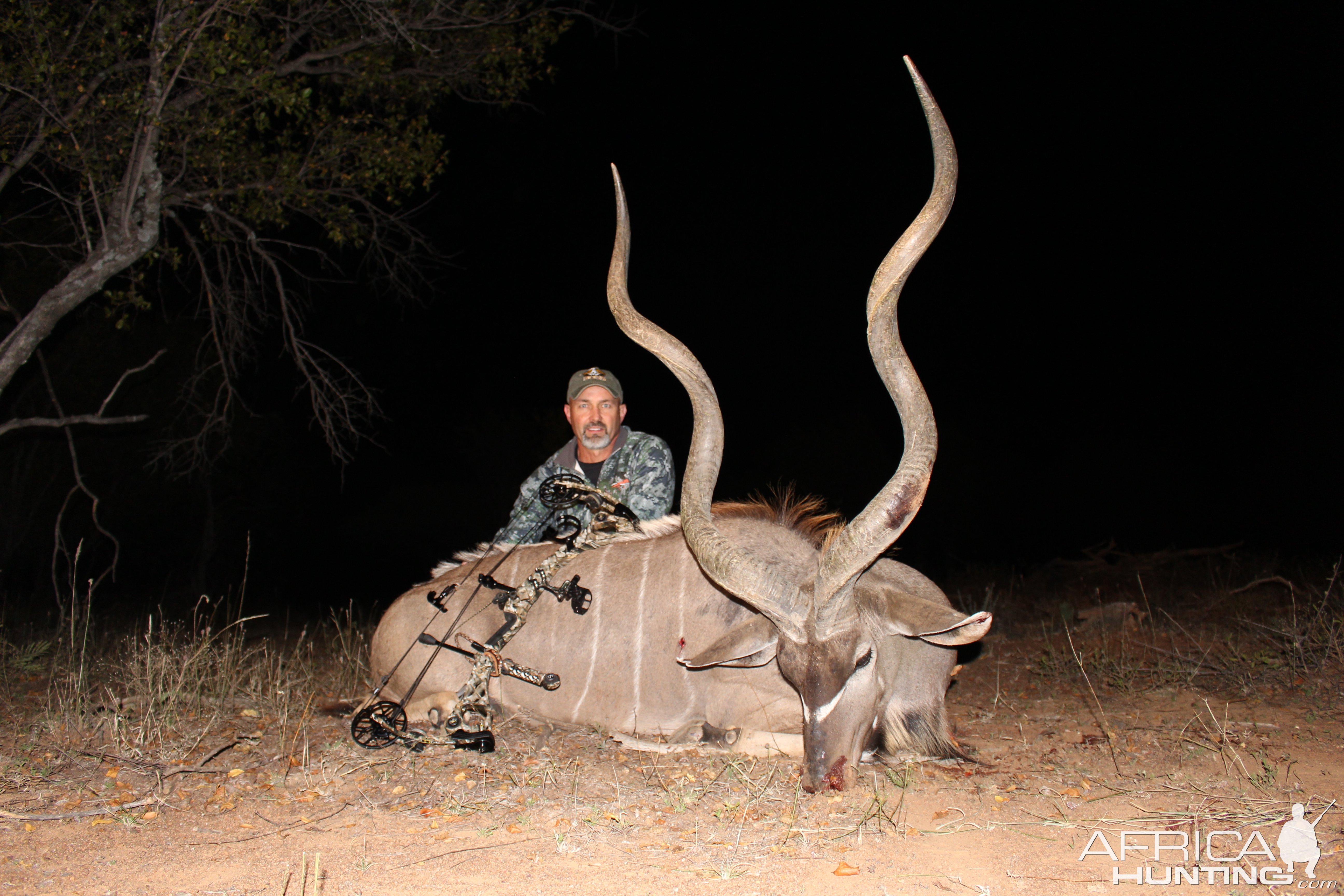 Kudu Bow Hunt South Africa