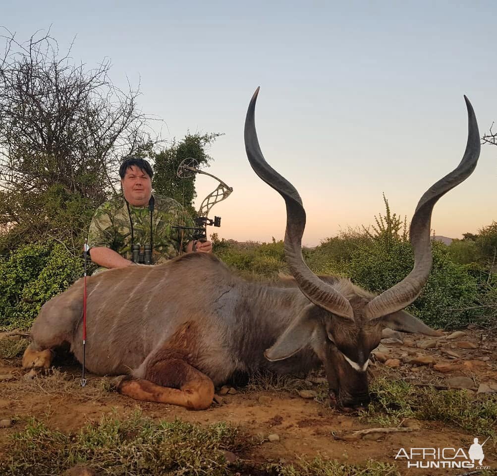 Kudu Bow Hunt South Africa