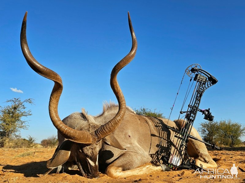 Kudu Bow Hunting Kalahari South Africa