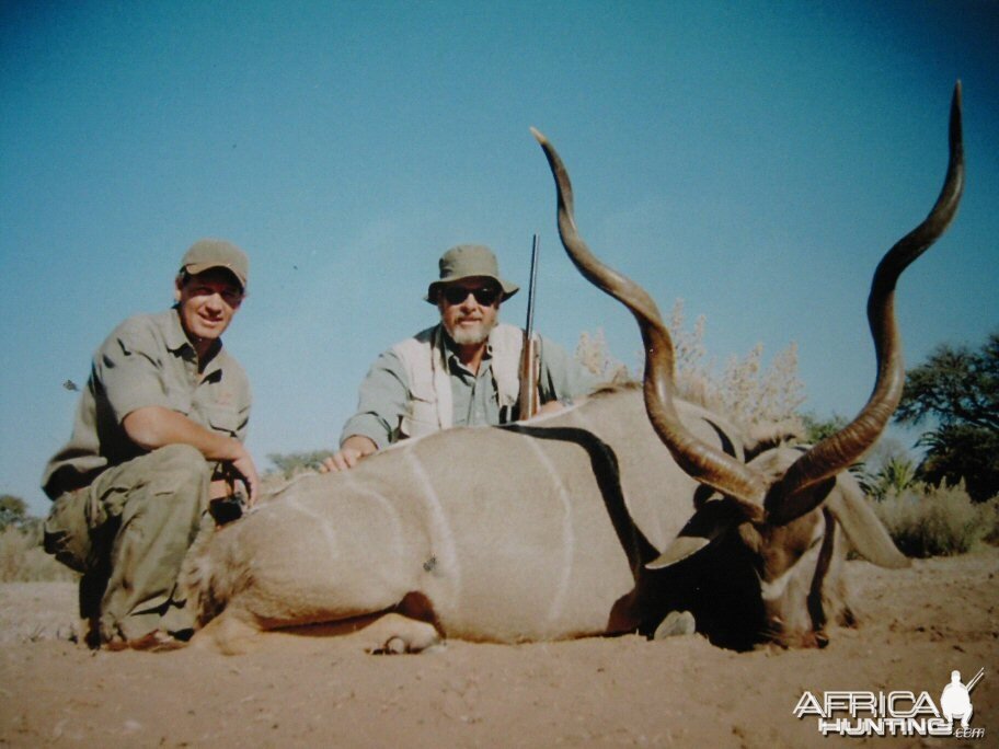 kudu bull