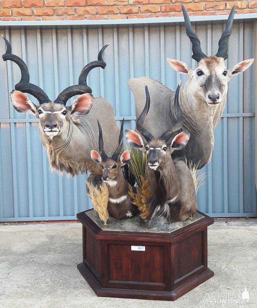 Bushbuck Mount