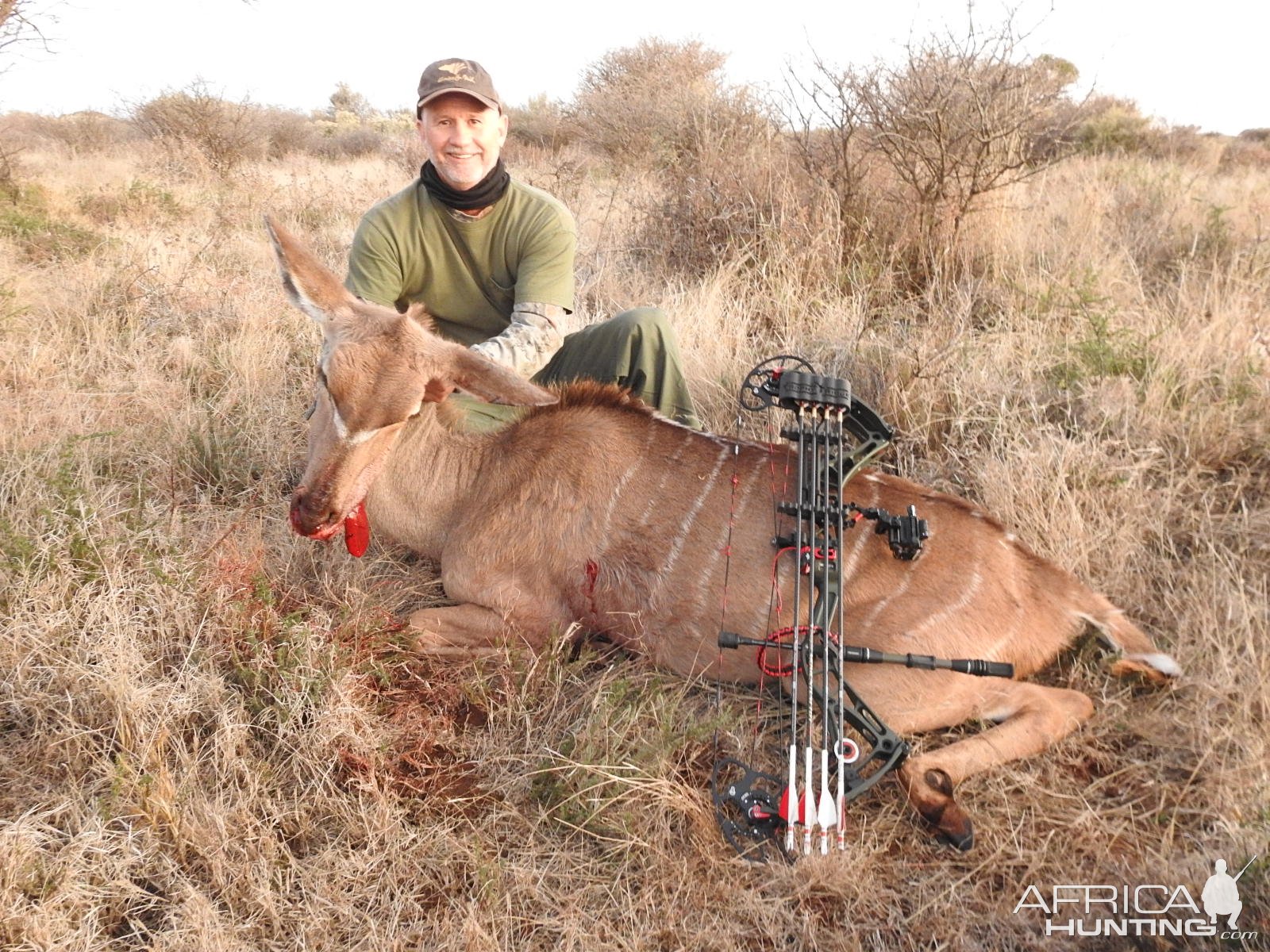 Kudu Cow Bow Hunt South Africa