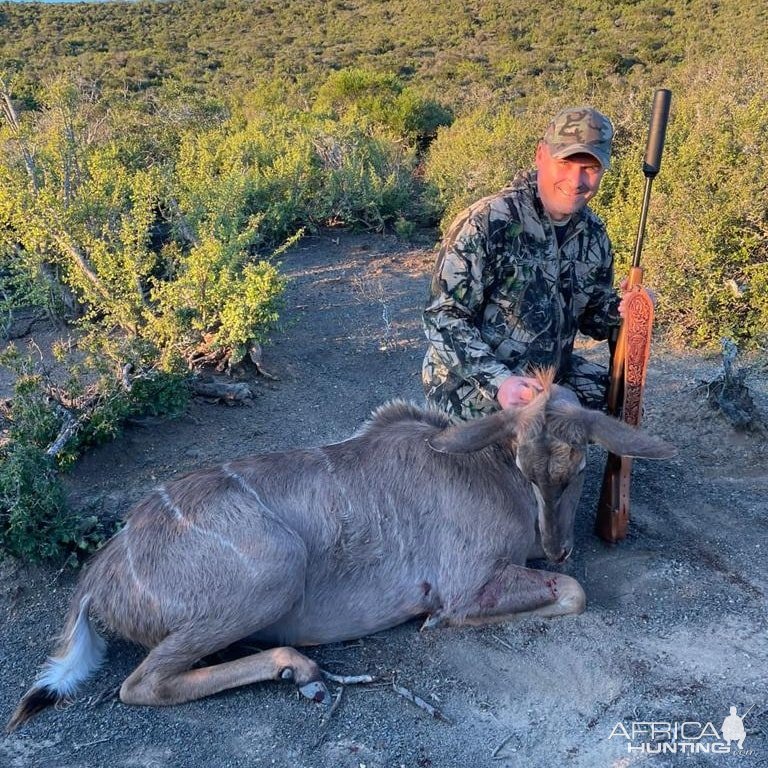 Kudu Cow Hunting Eastern Cape South Africa