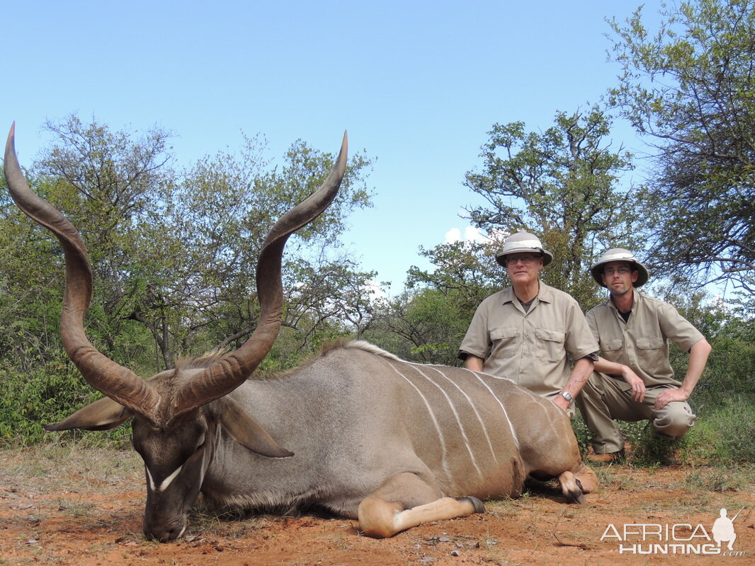 Kudu Cull Hunt in South Africa