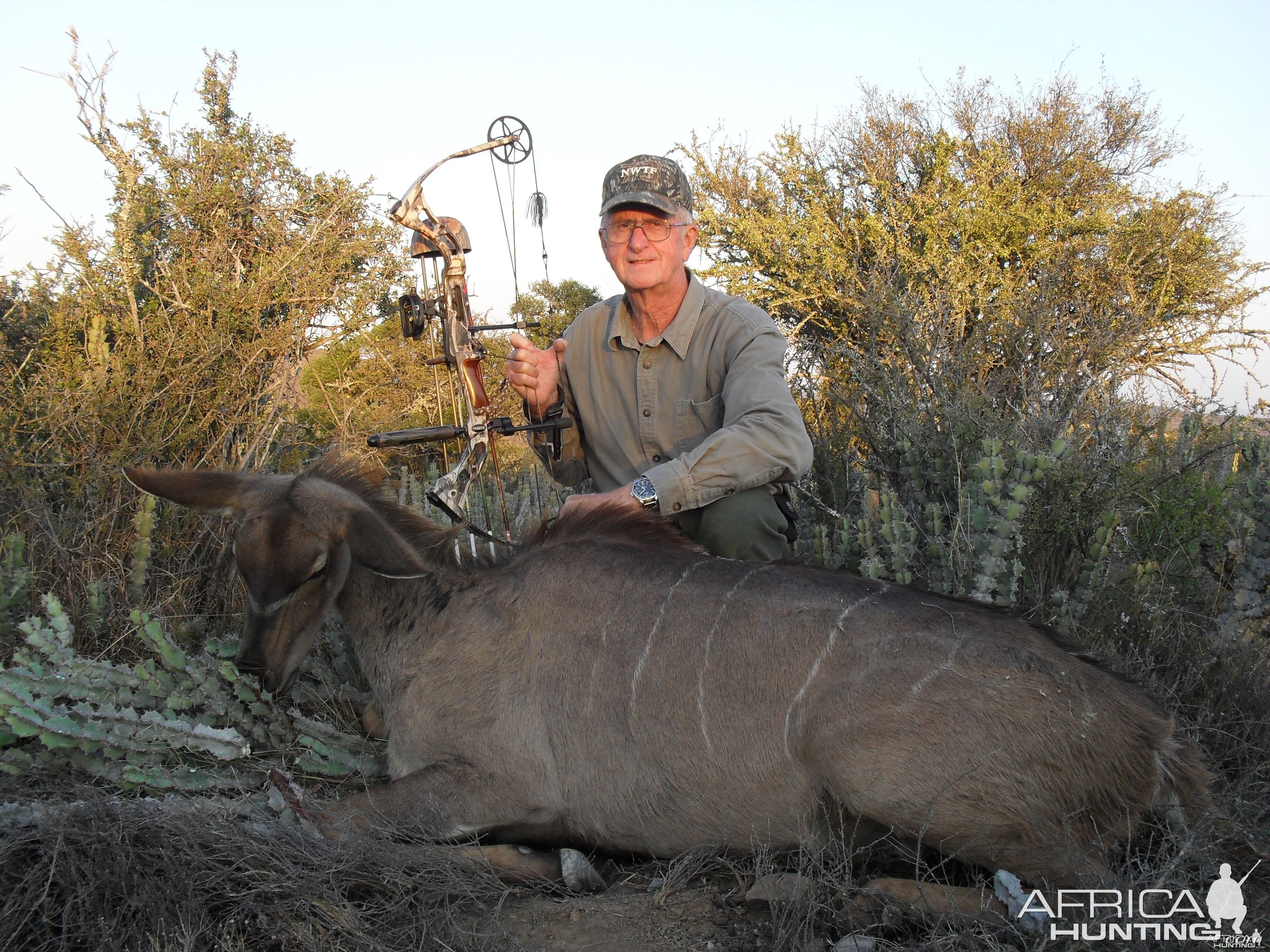 Kudu female