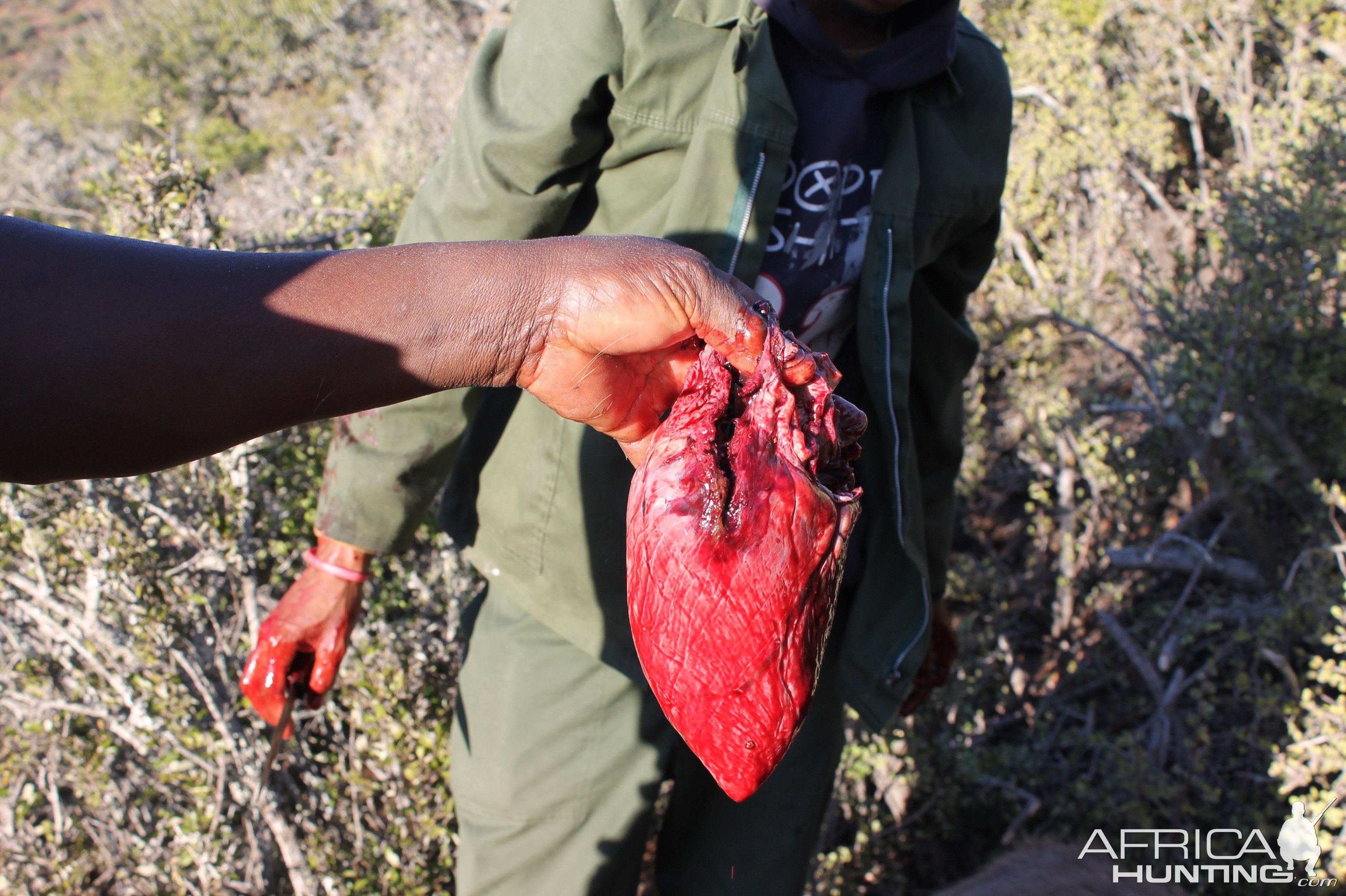 Kudu Heart