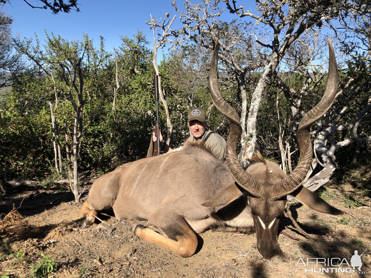 Kudu Hunt Eastern Cape South Africa