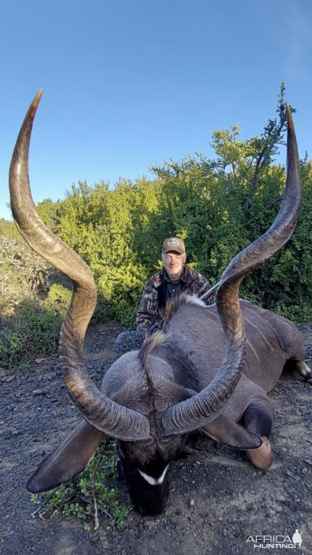 Kudu Hunt Eastern Cape South Africa