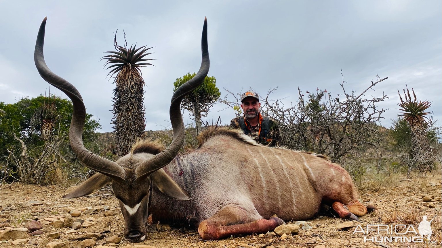 Kudu Hunt Eastern Cape South Africa