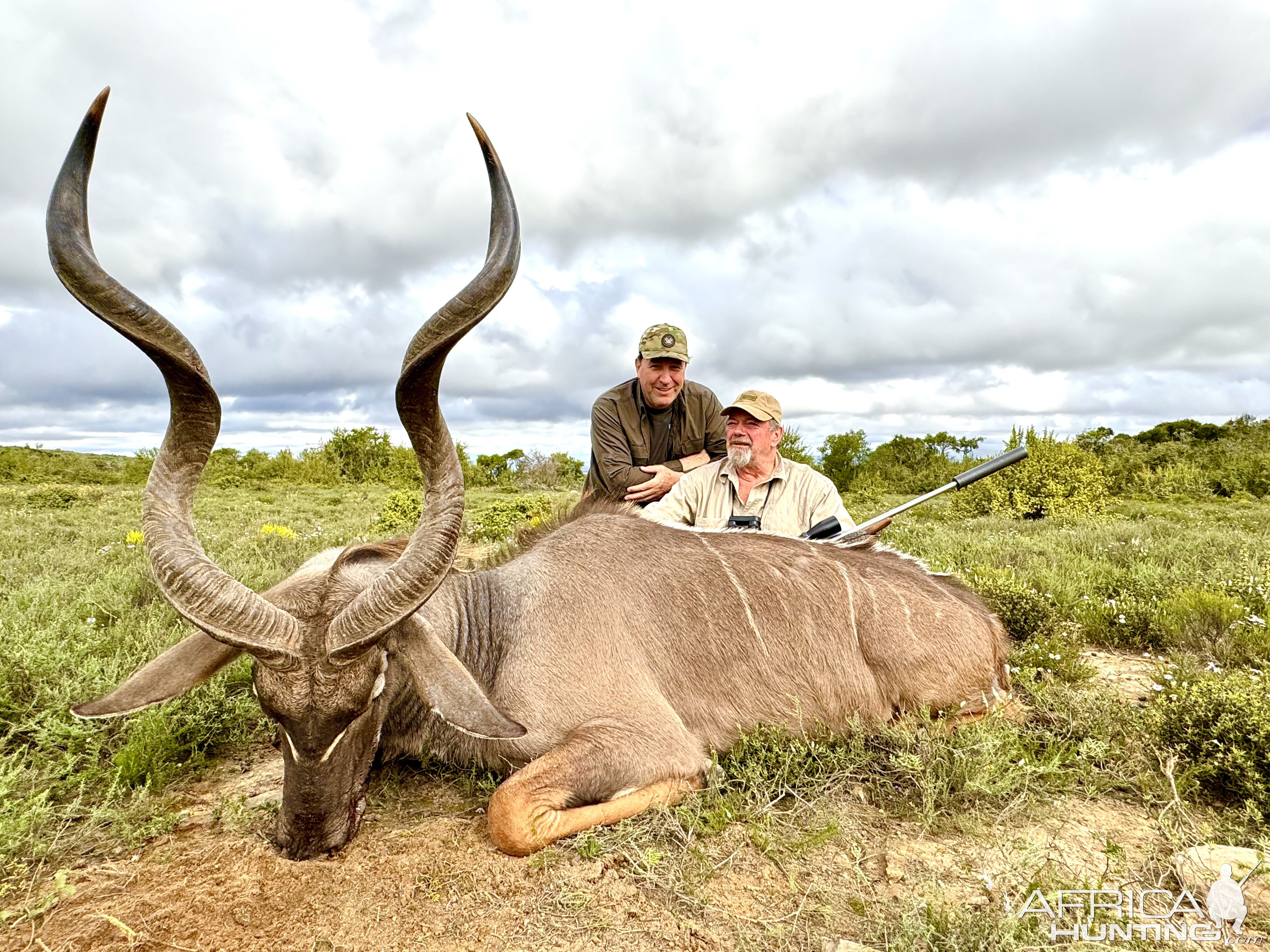 Kudu Hunt Eastern Cape South Africa