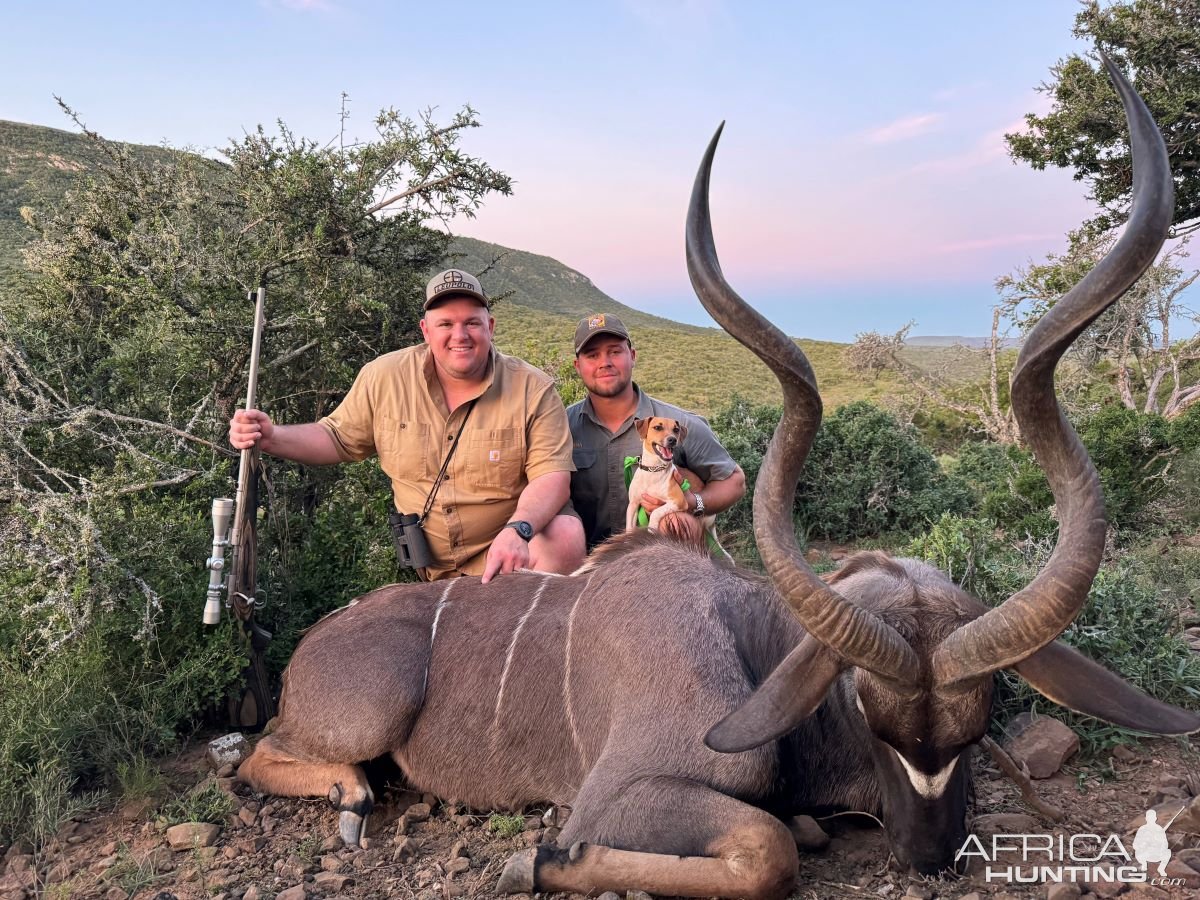 Kudu Hunt Eastern Cape South Africa