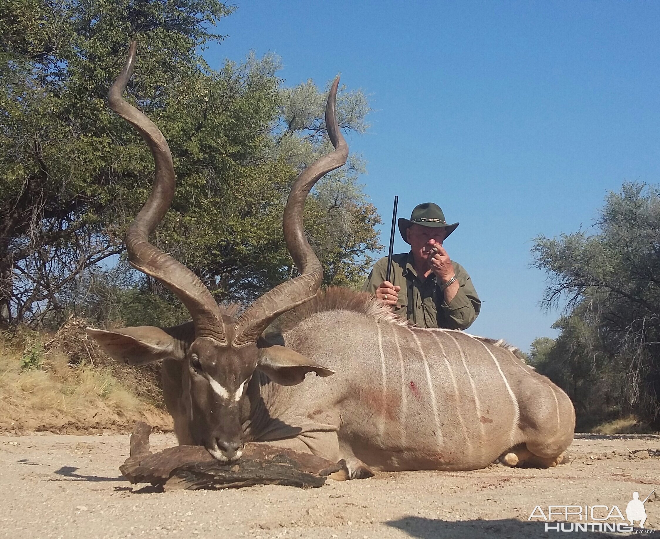 Kudu Hunt in Namibia