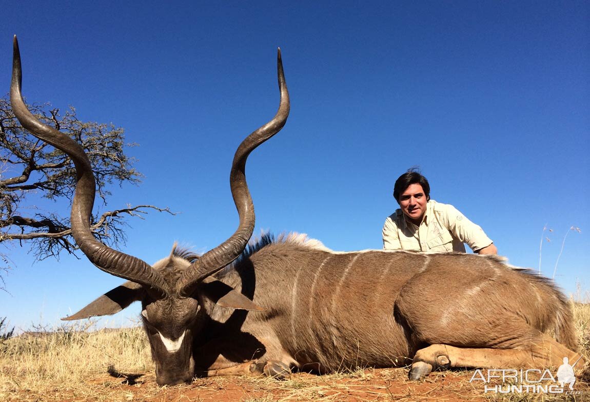 Kudu Hunt in South Africa