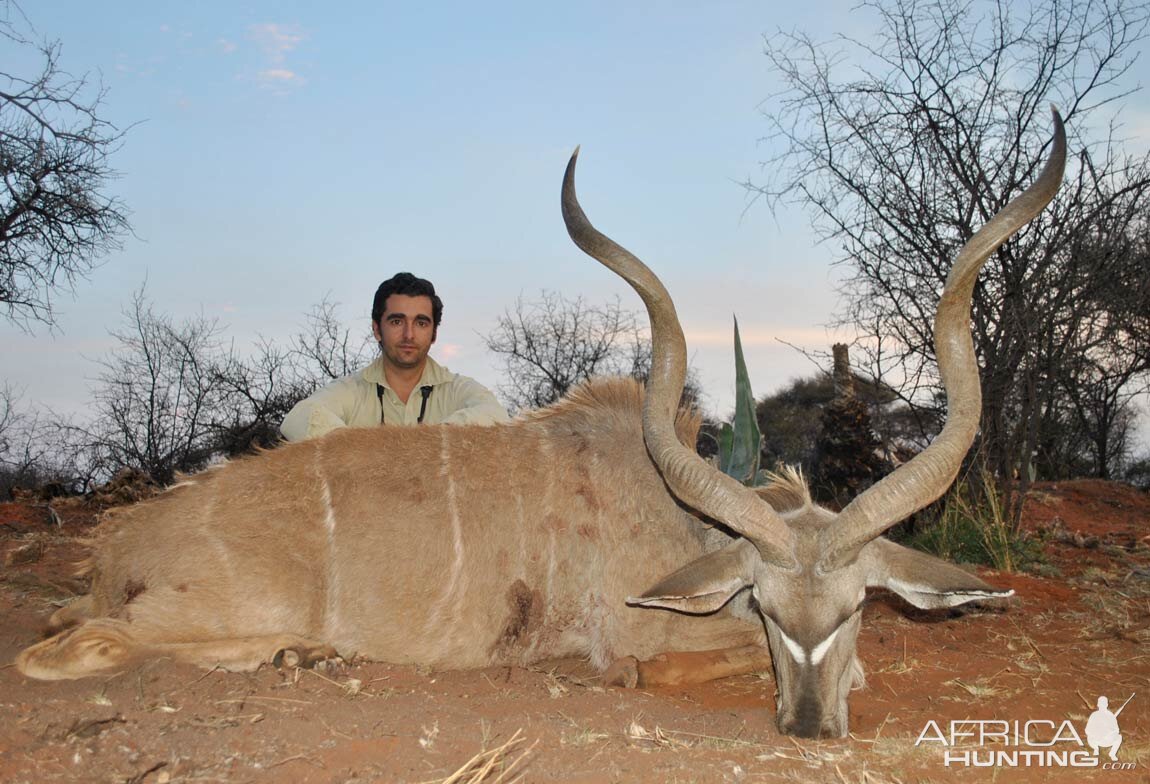 Kudu Hunt in South Africa