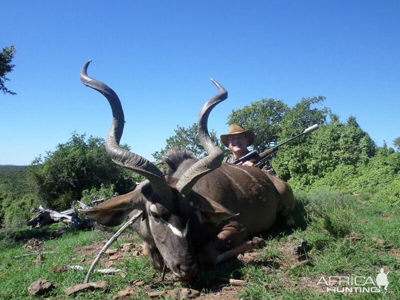 Kudu Hunt in South Africa