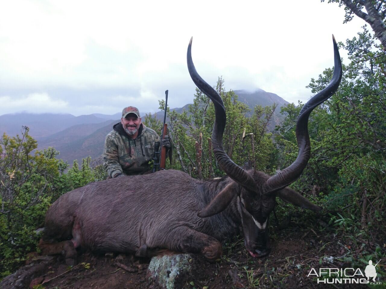 Kudu Hunt in South Africa