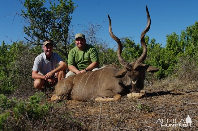 Kudu Hunt in South Africa