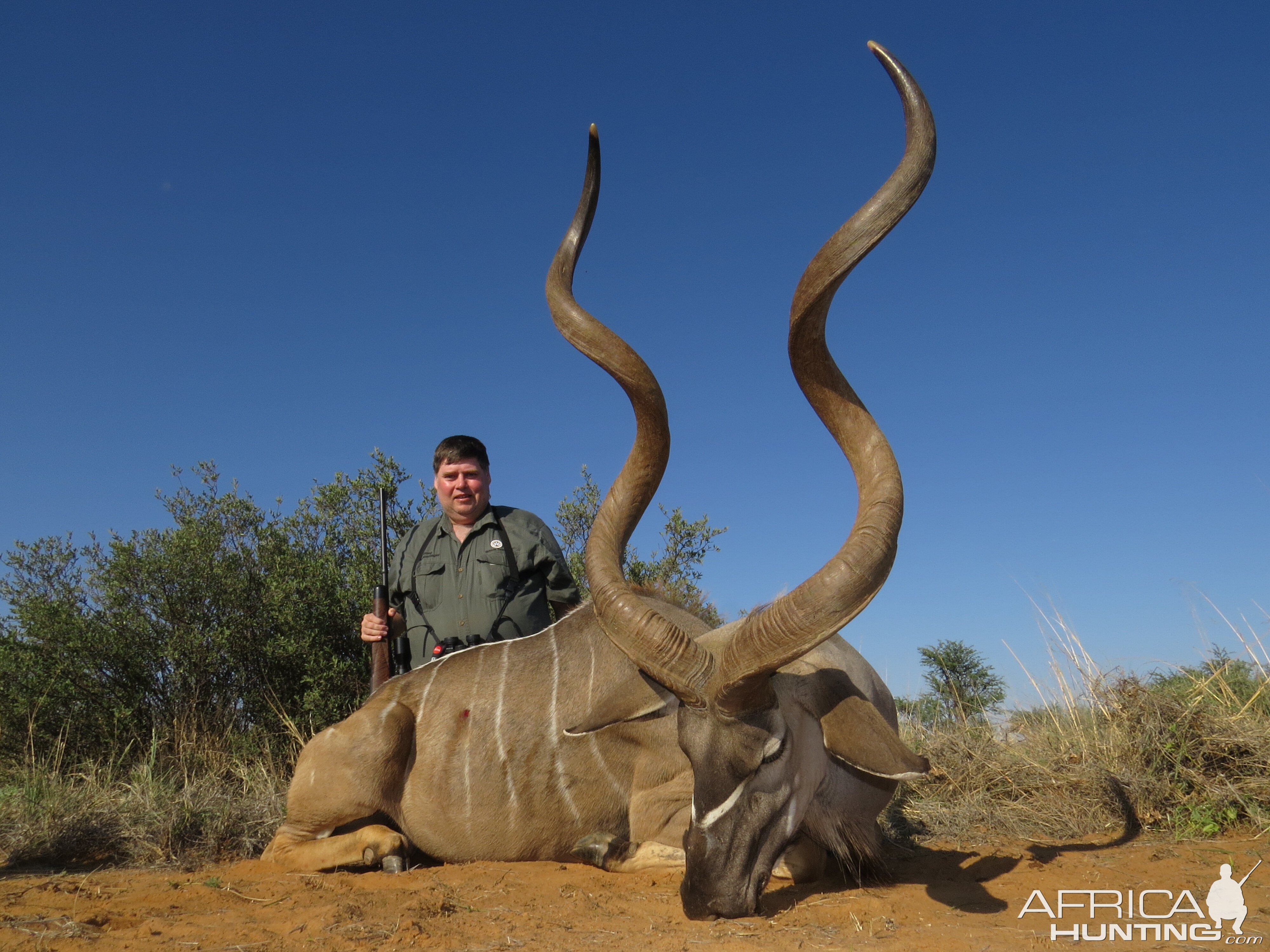 Kudu Hunt in South Africa