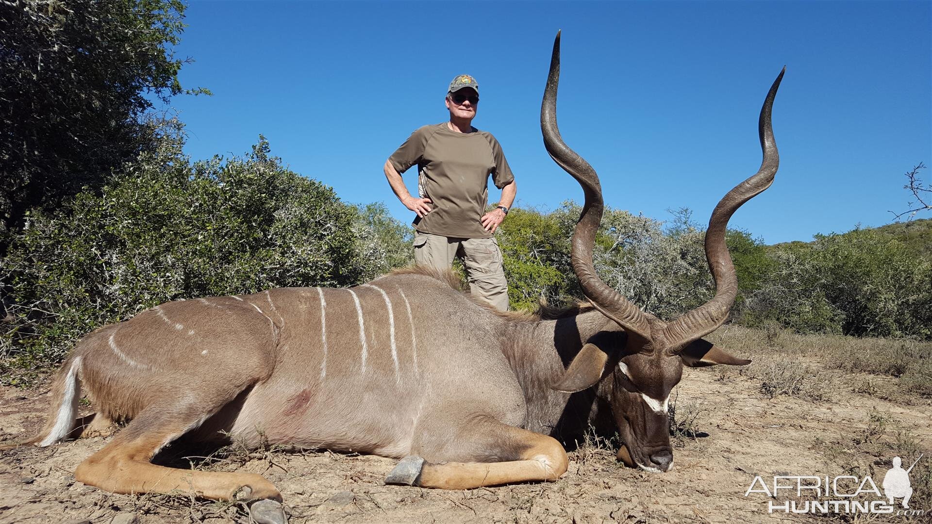 Kudu Hunt in South Africa