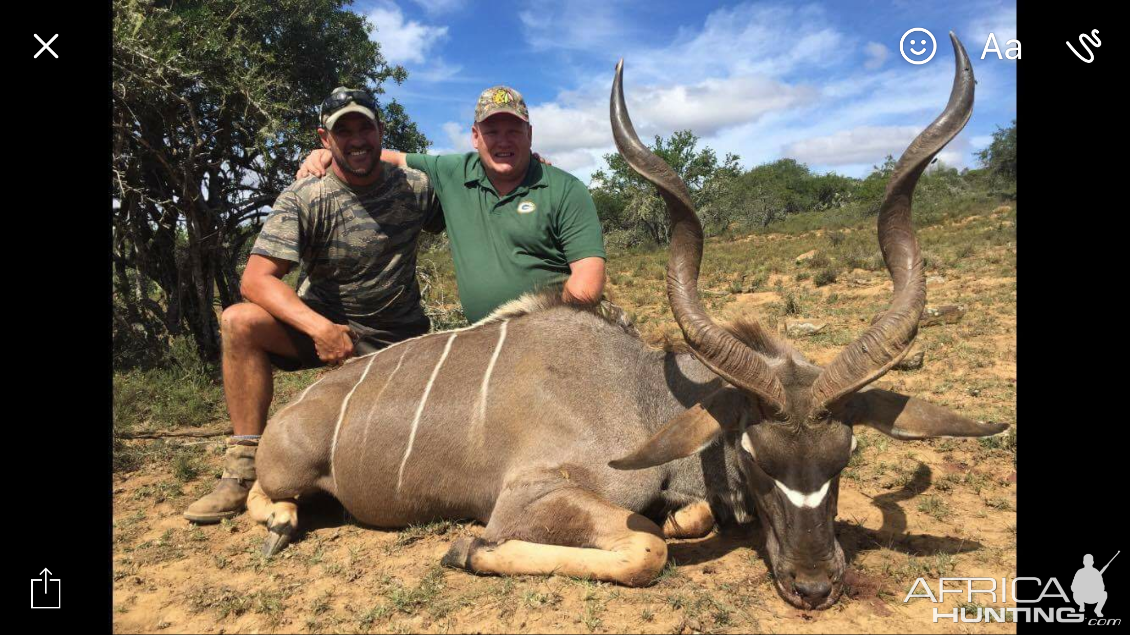 Kudu Hunt in South Africa