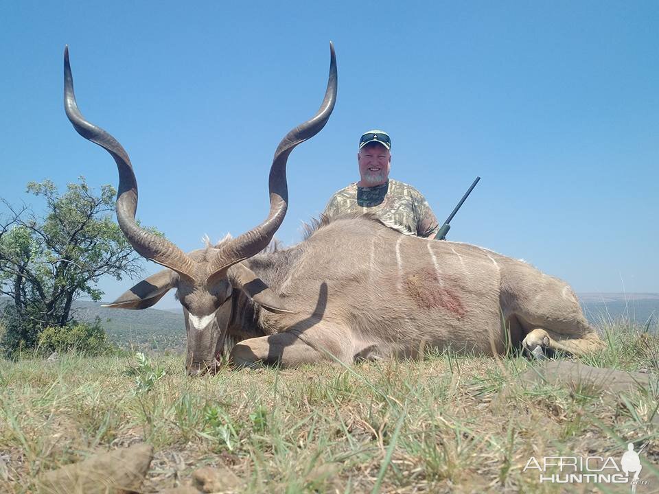 Kudu Hunt in South Africa