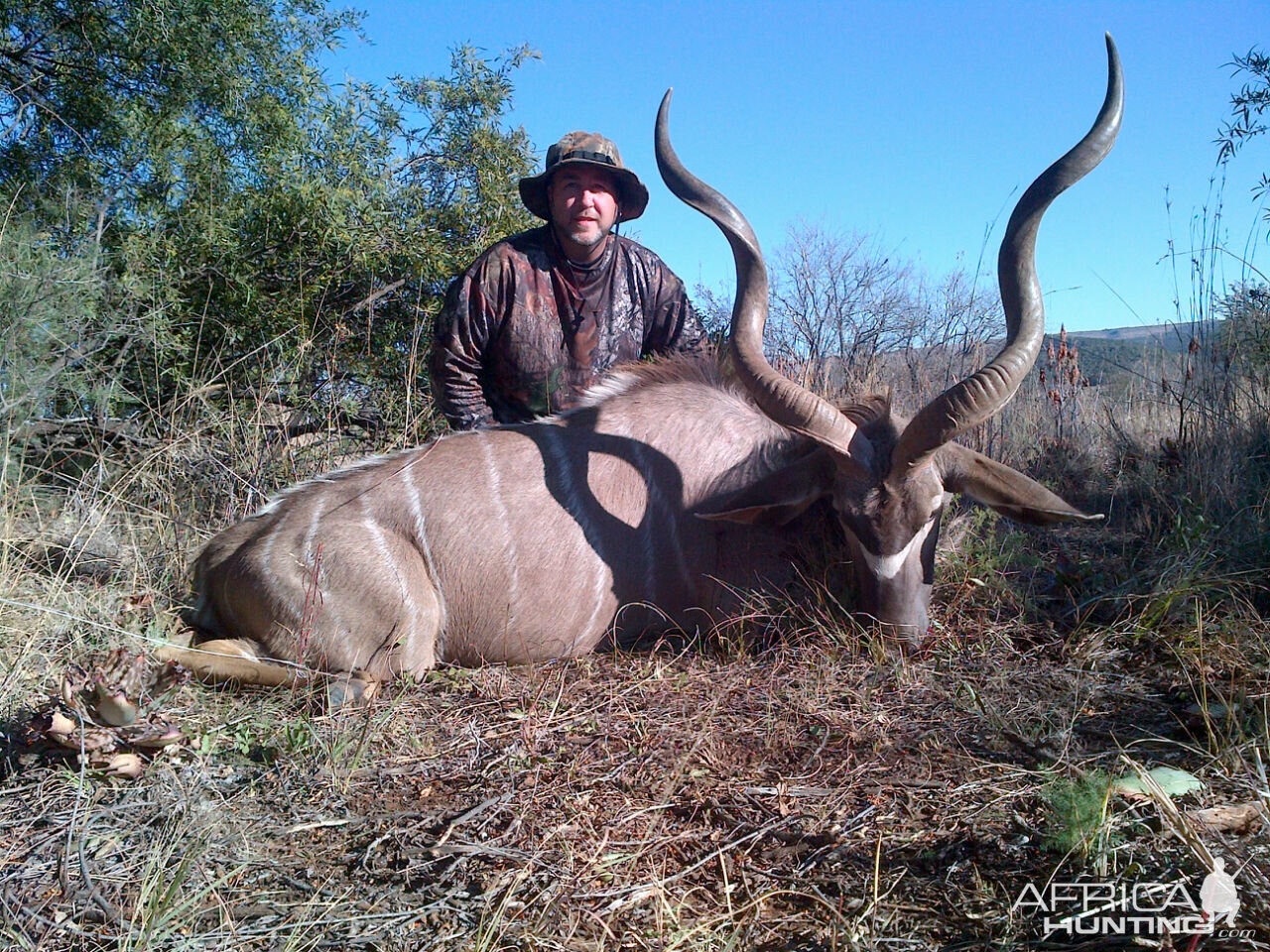 Kudu Hunt in South Africa