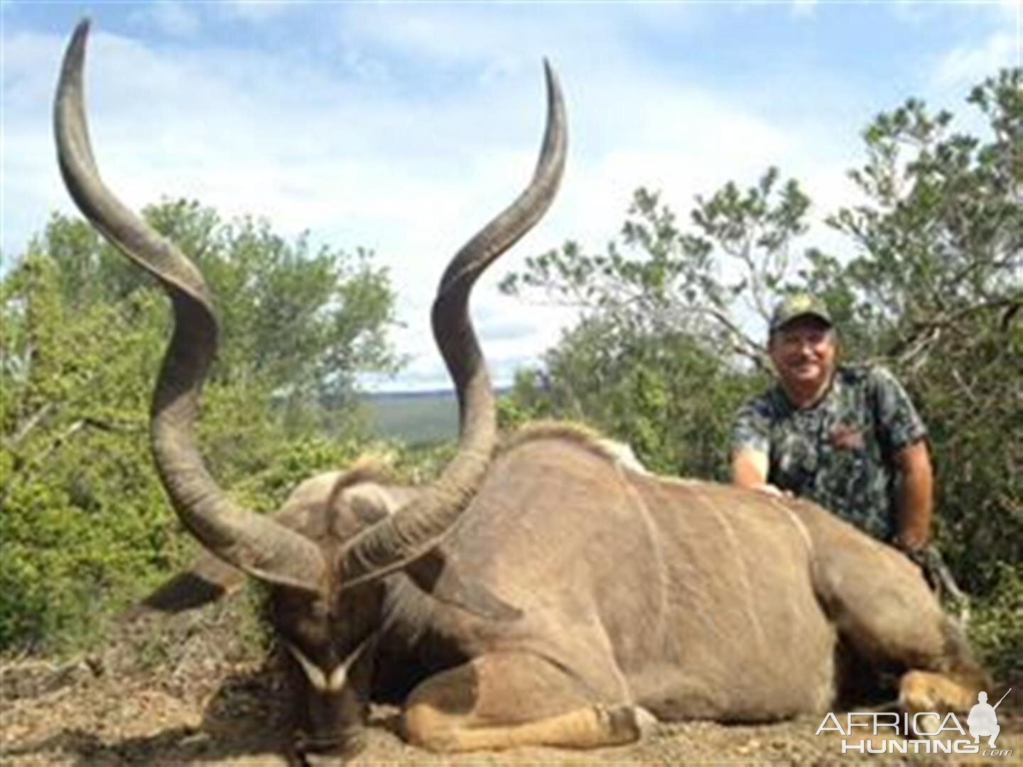 Kudu Hunt in South Africa