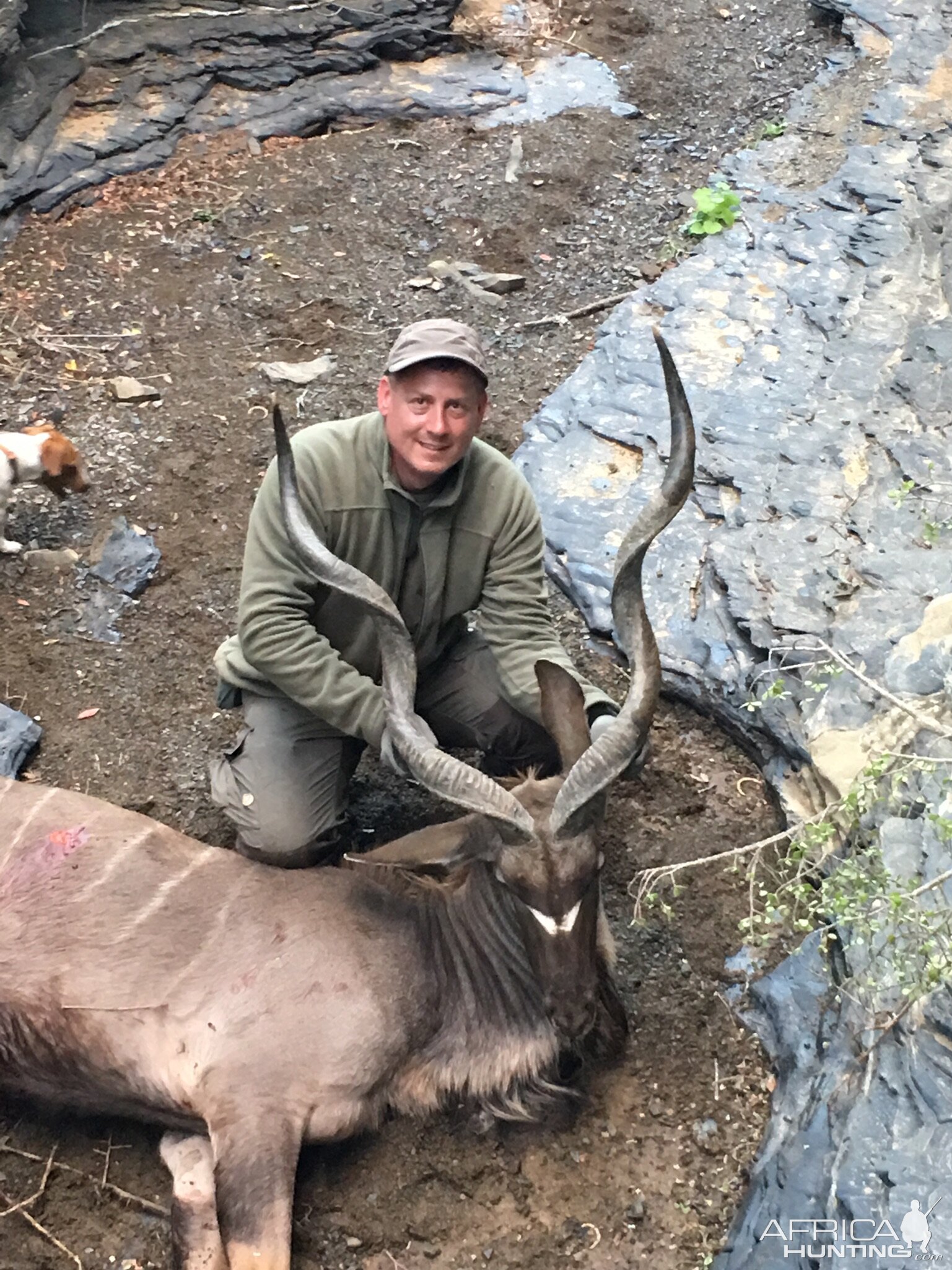 Kudu Hunt in South Africa