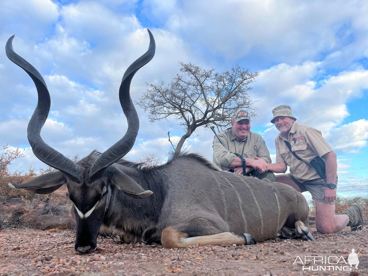 Kudu Hunt, Limpopo