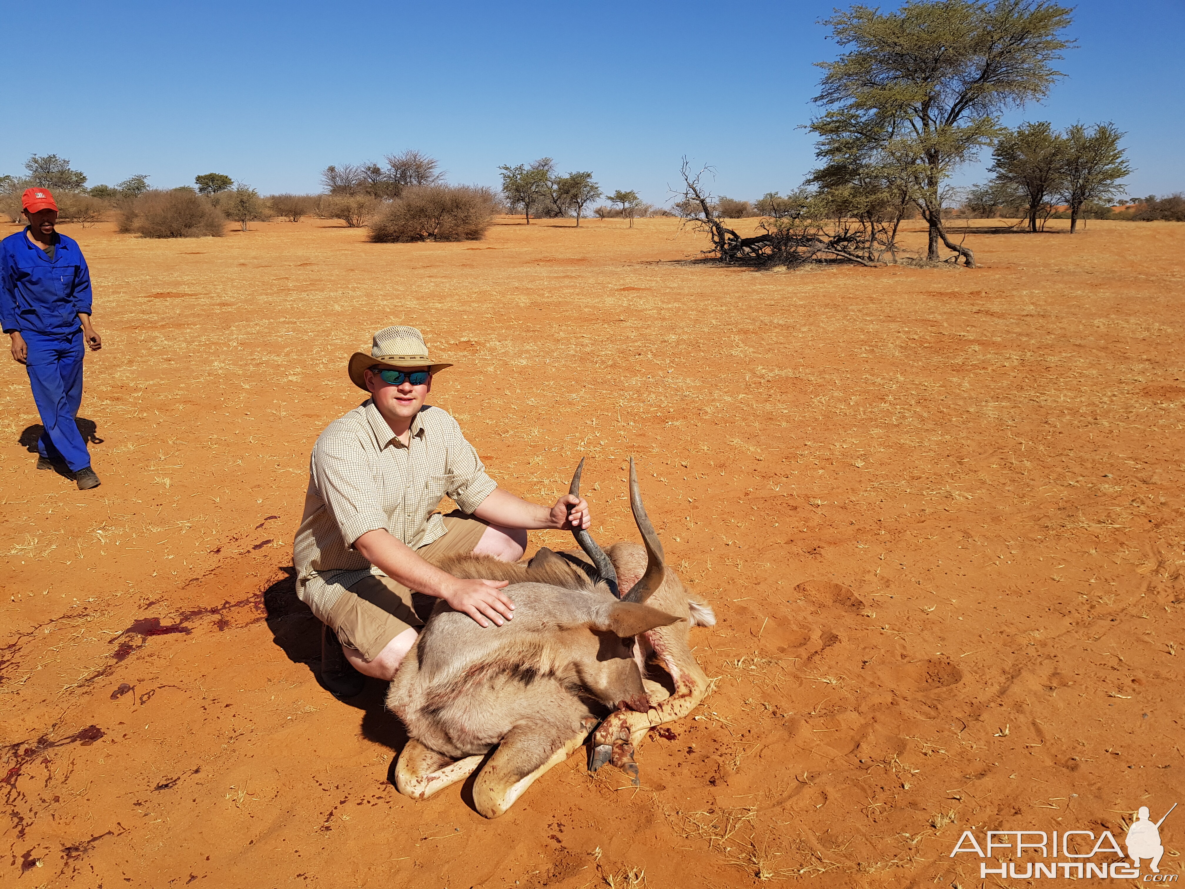 Kudu Hunt Namibia