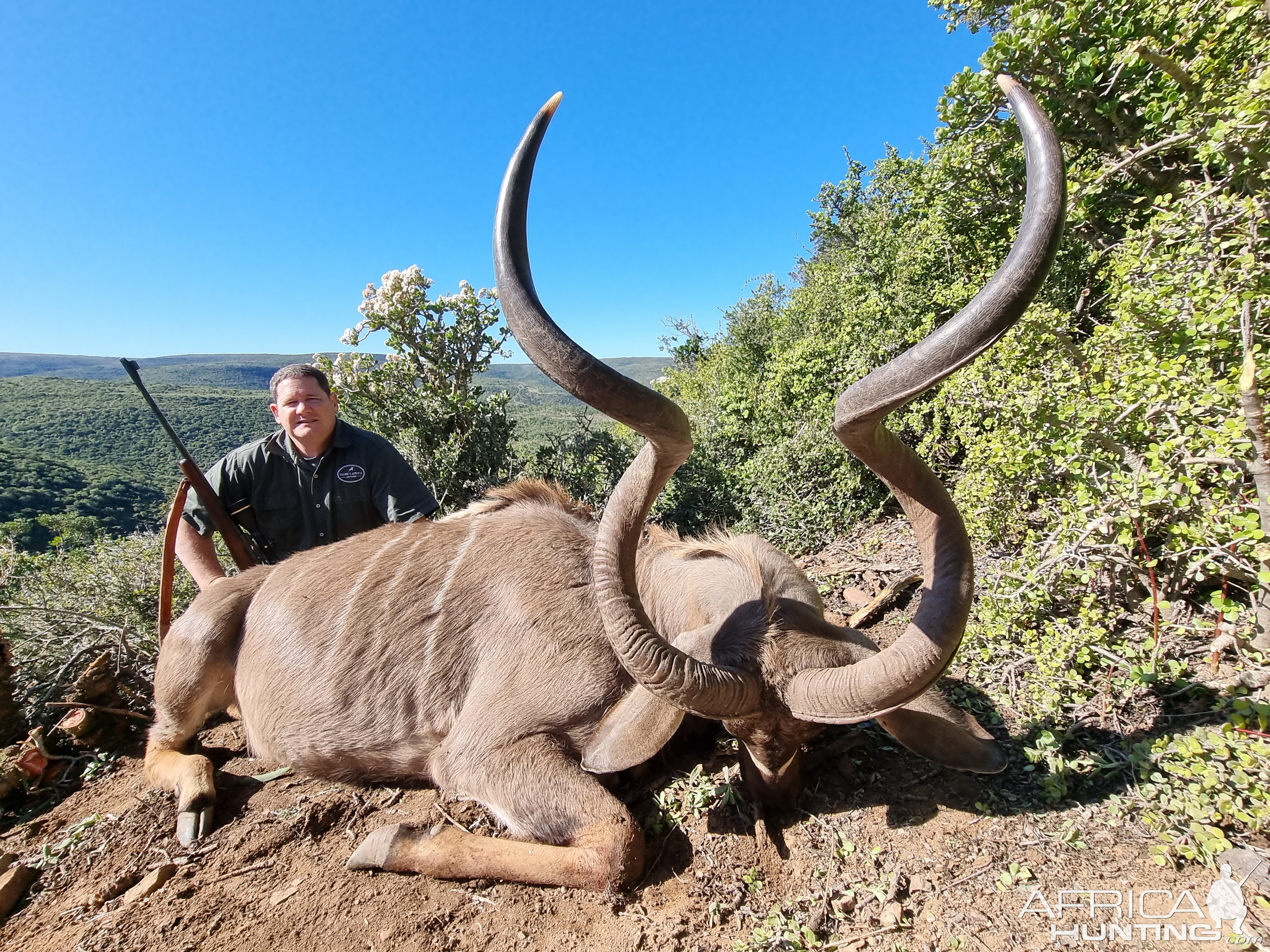 Kudu Hunt South Africa