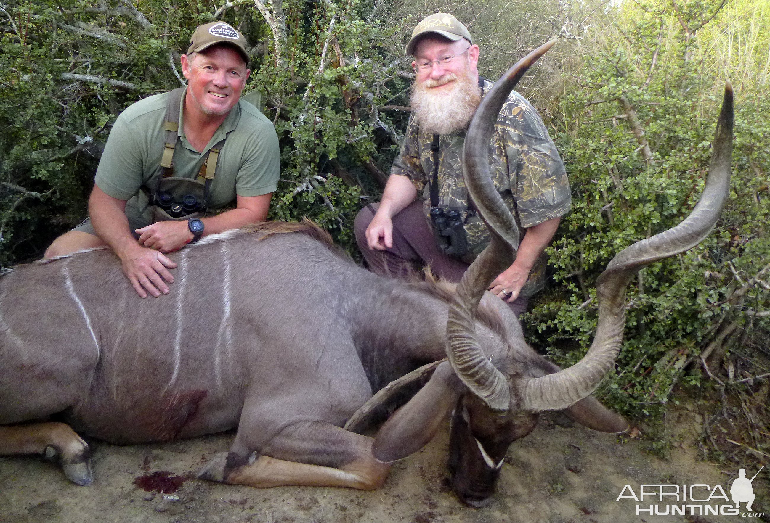 Kudu Hunt South Africa