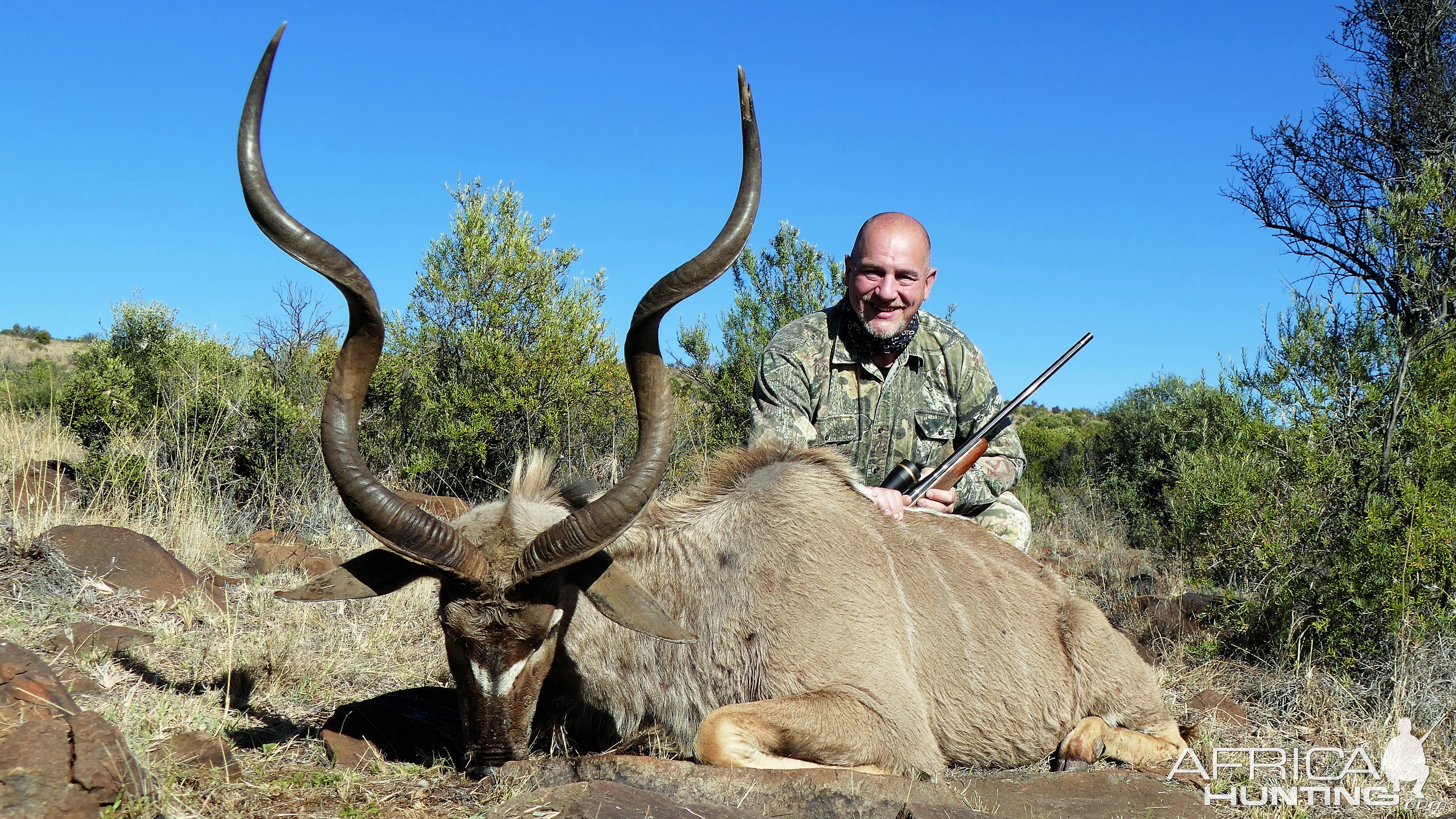 Kudu Hunt South Africa