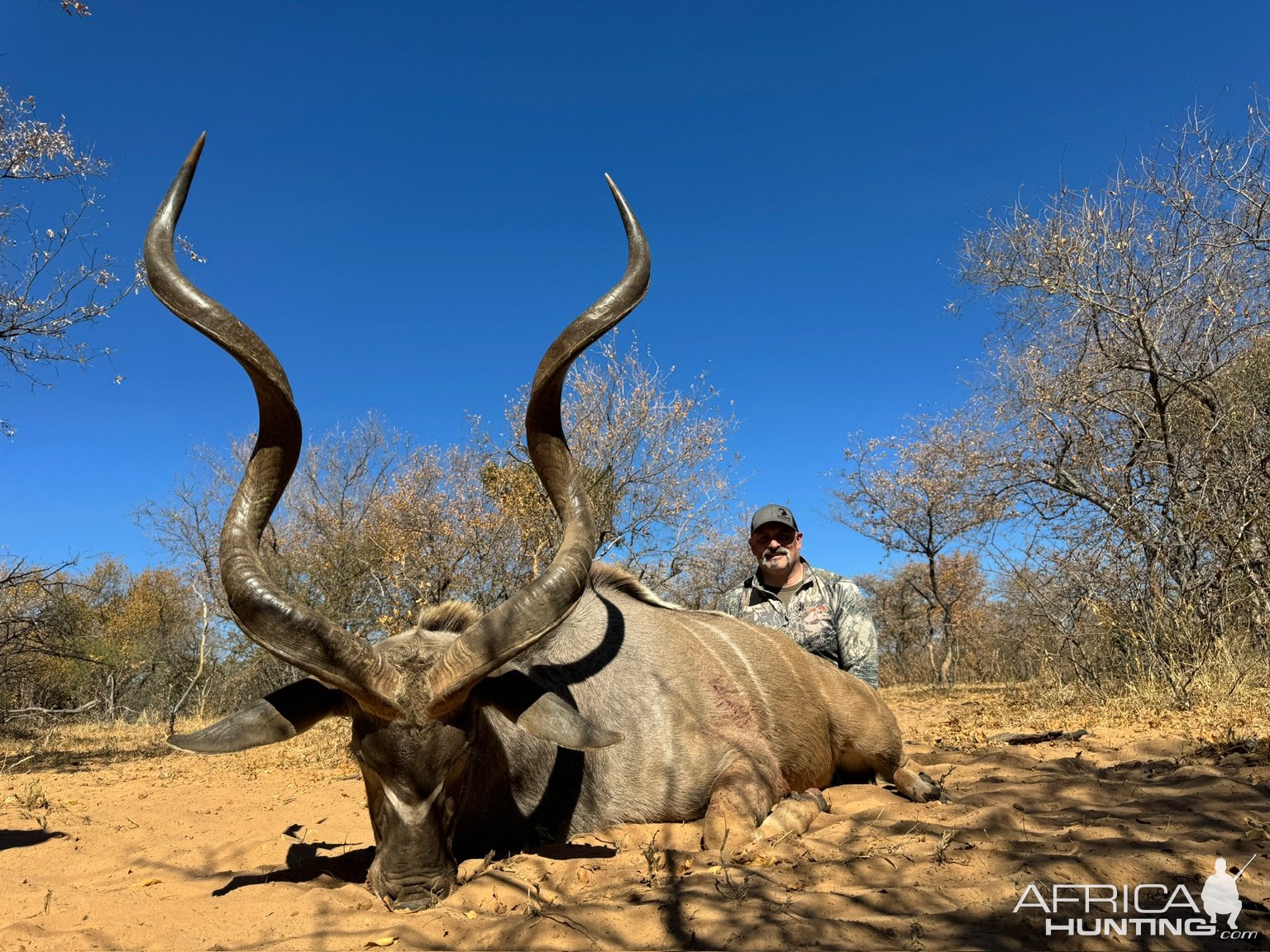 Kudu Hunt South Africa