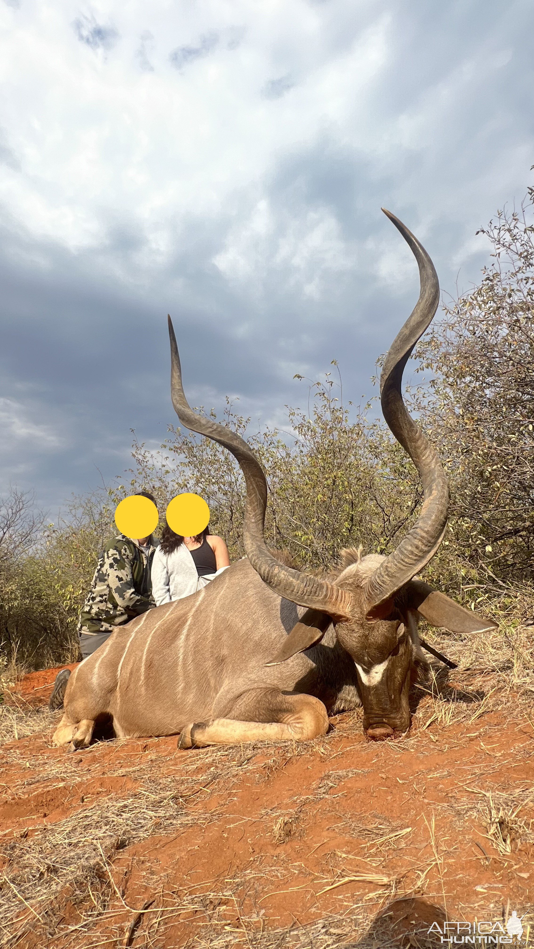 Kudu Hunt South Africa