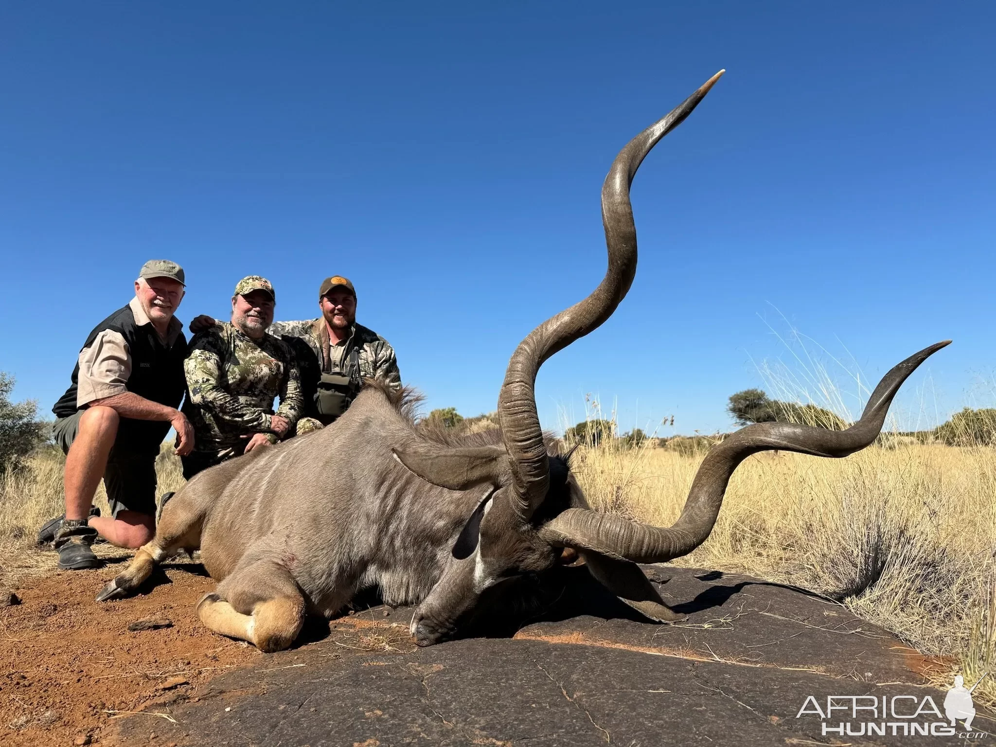 Kudu Hunt South Africa